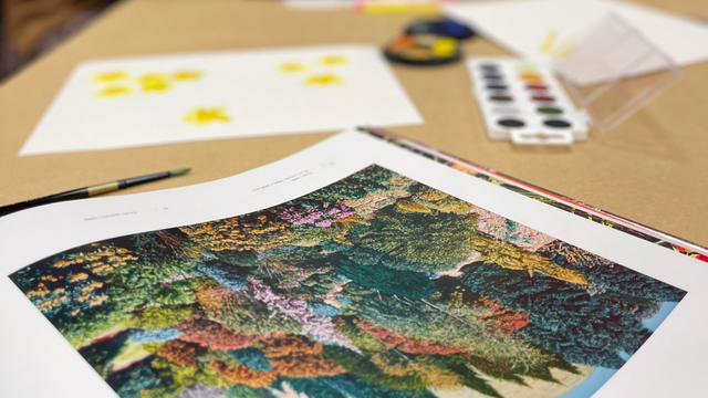 Brya Rose Workshop v2