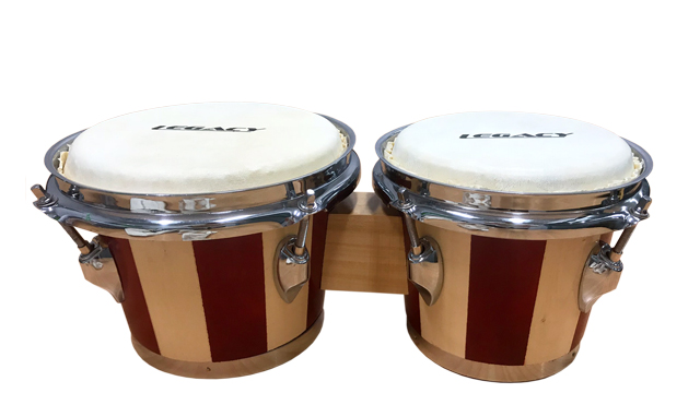 Bongo Drums