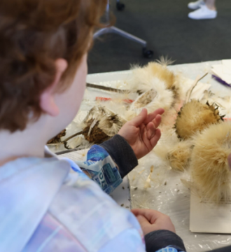 A kid is collecting seeds from seed pods